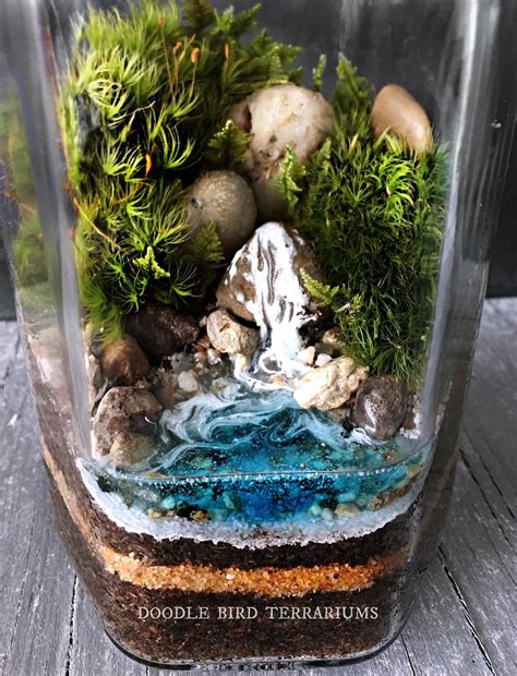 Waterfall Terrarium With Live Moss Plants In Hex Glass Jar Etsy