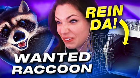 Ich Bin Der Coolste Waschbär Und Rette Alle Meine Freunde 😨 Wanted Raccoon Youtube