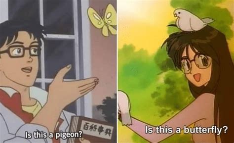 Meme Generator Is This A Pigeon And Is This A Butterfly Newfa Stuff
