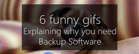 6 Funny S To Help Justify Backup Software In Your Budget