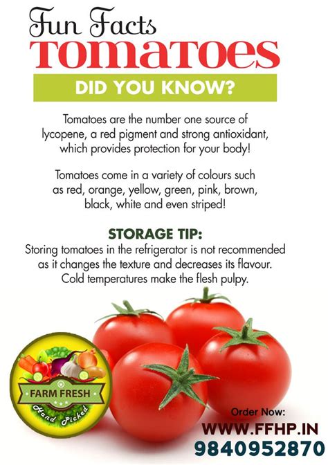 Tomato Fun Facts Ffhpin Health And Nutrition Benefits Of Fruits