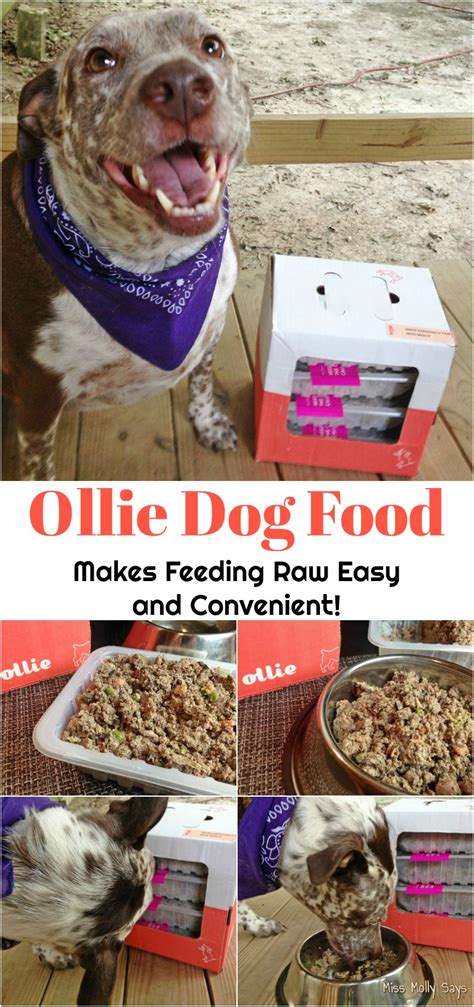 The honest kitchen whole food clusters. Ollie Dog Food Makes Feeding Raw Easy and Convenient ...