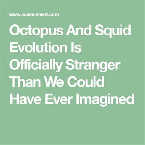 Octopus And Squid Evolution Is Officially Stranger Than We Could Have