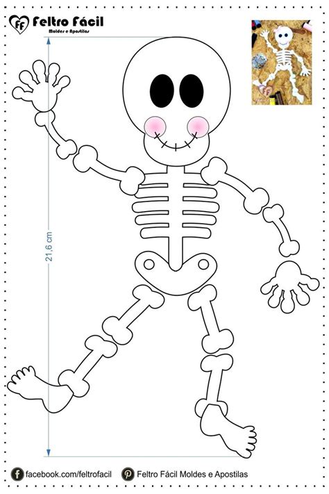 A Skeleton Cut Out With The Outlines For It