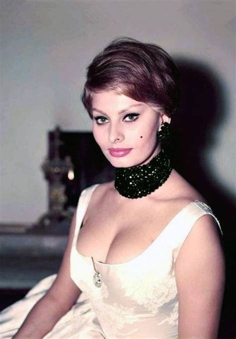 ➳ celebrating sophia loren (i am not sophia loren and there is no affiliation!) no infringement intended. 70+ Hot Pictures Of Sophia Loren Which Will Make You ...