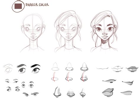 How To Draw A Female Face Step By Step For Beginners Easy