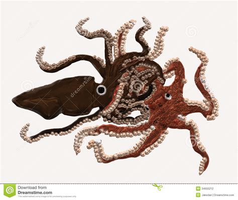 Riesenkalmare sind weltweit verbreitet, werden. Kalmar, Der Eine Krake In Angriff Nimmt Stockfoto - Bild ...