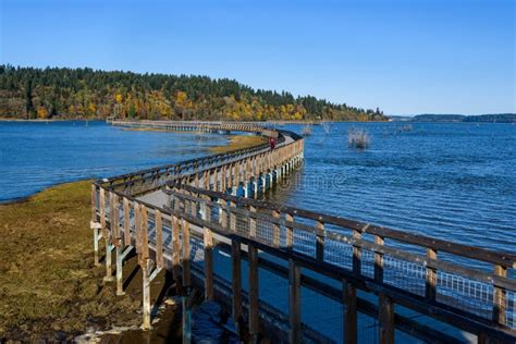 Nisqually Estuary Boardwalk Trail Stock Photos Free And Royalty Free