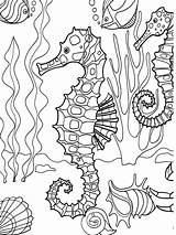 Coloring Sea Under Creatures Underwater Adult Adults Mar Nature Fish sketch template