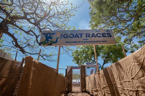 2022 goat races rotary club of dar es salaam oyster bay