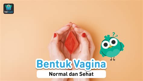 Bentuk Vagina Yang Normal Dan Sehat Cek Di Sini Hdmall My Xxx Hot Girl