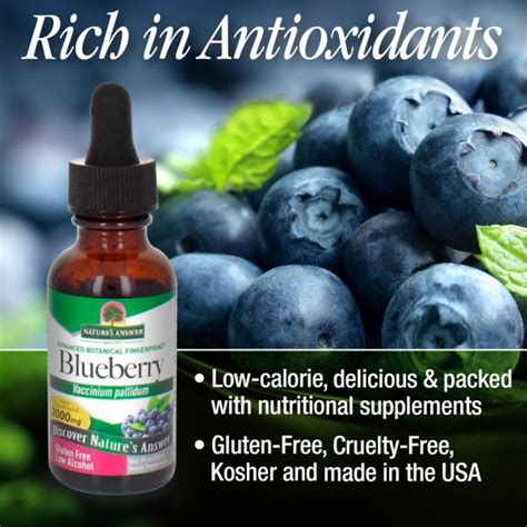 Blueberry Leaf Extract Enlightened Mind Quality Herbs And Essential Oils