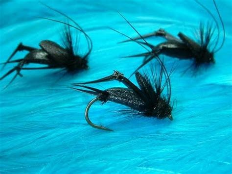Grasshoppers are ubiquitous in sunny habitats across north america, although they are usually absent or uncommon in northern areas and in wet. Tying Davie's Black Cricket by Davie McPhail. - YouTube