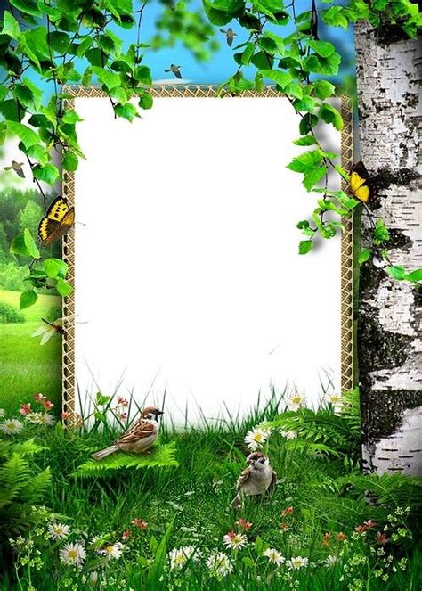 Nature And Birdsj Picture Frame Decor Photo Frame Design Frame