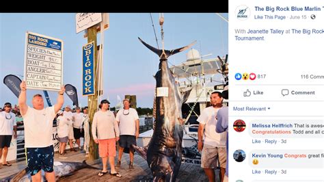 914 Pound Marlin Caught In North Carolina Sets A Record Fort Worth