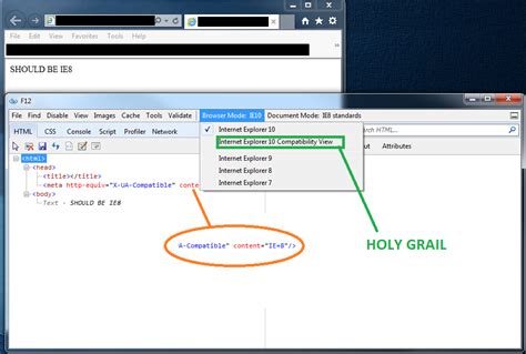 It may not display this or other websites correctly. internet explorer - Force IE10 to run in IE10 ...