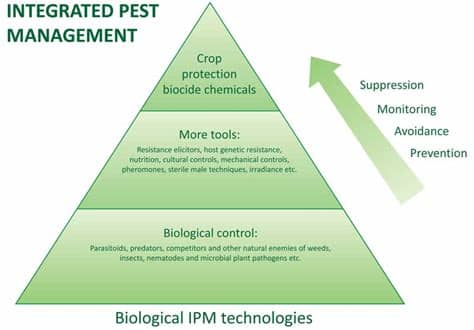 > business diagram examples > pest examples, free pest chart templates. What is IPM? | The James Hutton Institute