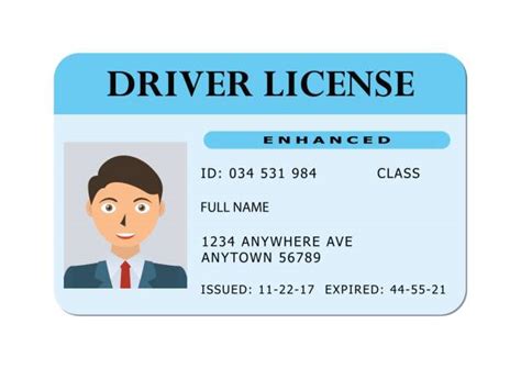 Drivers License Photo Illustrations Royalty Free Vector Graphics