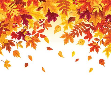 Royalty Free Autumn Leaves Clip Art Vector Images And Illustrations Istock
