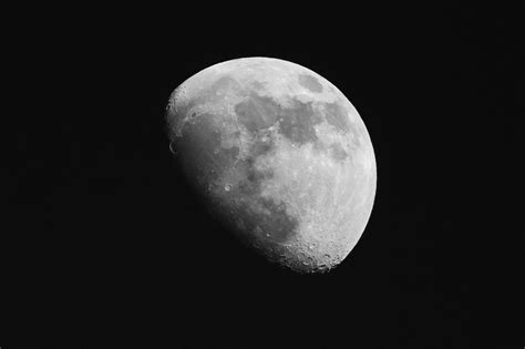 Black And White Moon Everything Is Permuted Stay Home Save Lives