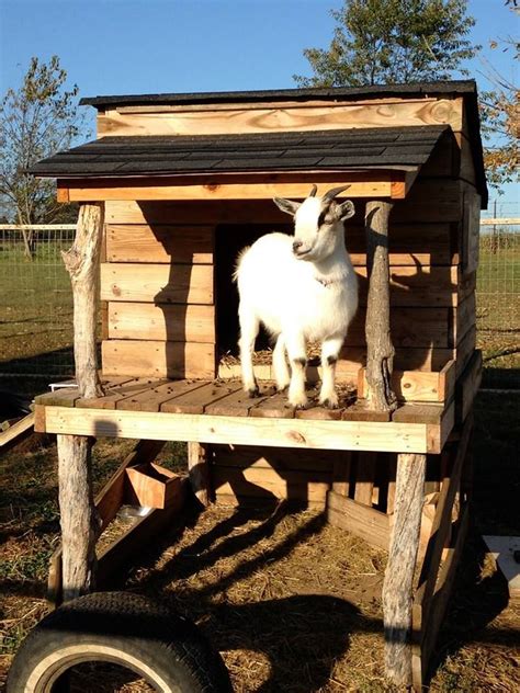 Pallet Wooden Made Goat House Shelter Goat House Goat Shelter