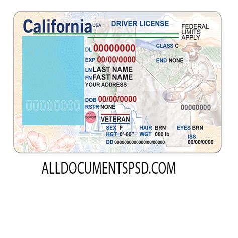 California Driving License Psd Template