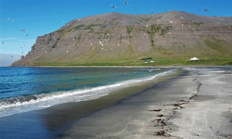 Cleaning The Beaches In Icelands Remote Westfjords Culturally Modified