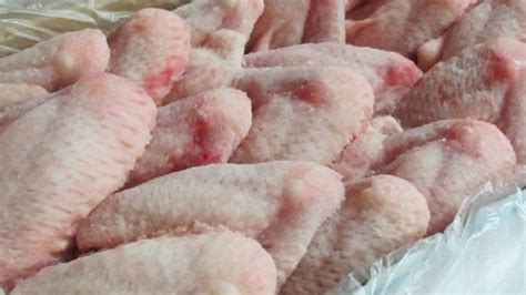 Frozen Turkey Wings Excess Raw Foods