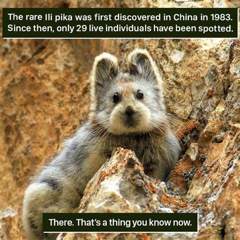 116 Times Nature Proved It S Too Weird For Us To Handle Bored Panda