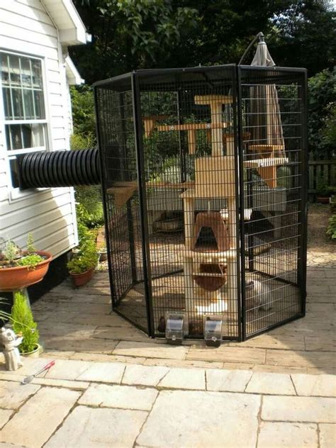 28 Cute And Awesome Cat House Ideas 14 Furniture Inspiration