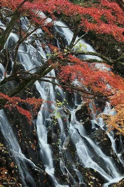 Pin By Mihir Roy On Beautiful Picture Waterfall Autumn Scenery