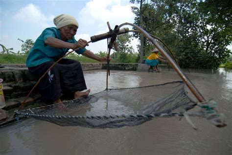 Nembak ikan di sungai kalimantan atau spearfishing ya inilahh cara kami mencari ikan dngan cara tradisional menyelam ke. Ikan Sungai Hampir Punah di Sukabumi | Republika Online