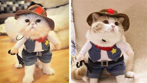 12 Halloween Costumes You Absolutely Need For You And Your Cat