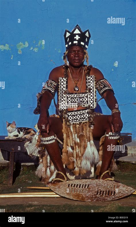 Zulu Traditional Healer South Africa In Traditional Costume Stock