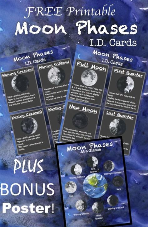 Free Printable Moon Phases Id Cards Bonus Poster These Are Such High