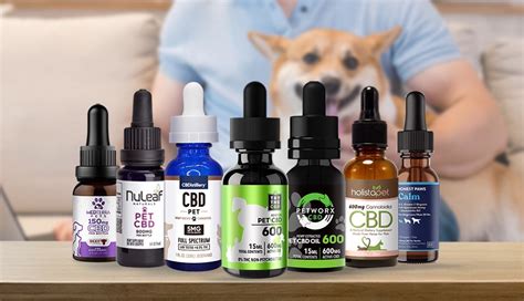 Best Cbd Oil For Dogs Our Top Picks How Do Dogs Benefit From Cbd Oil