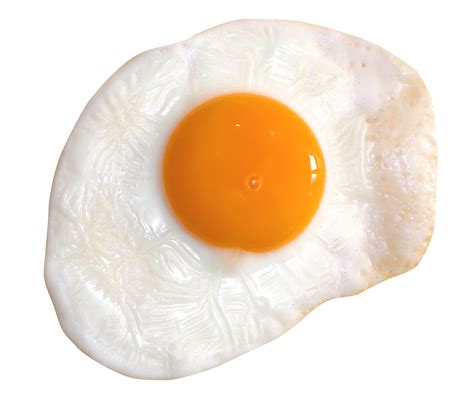 Fried Egg Png File Download Free Png All