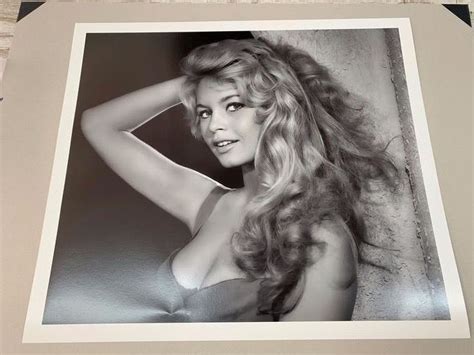 Brigitte Bardot Foto X Yousuf Karsh Catawiki