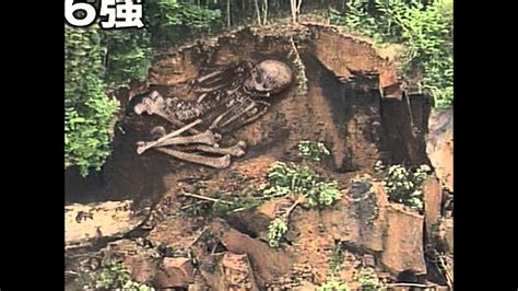 日本で発見されたとされる巨人の画像 ありしかのブログ