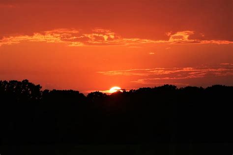 A Golden Sunset Photograph By Sheila Brown Pixels