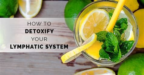 How To Detoxify Your Lymphatic System Nutracraft