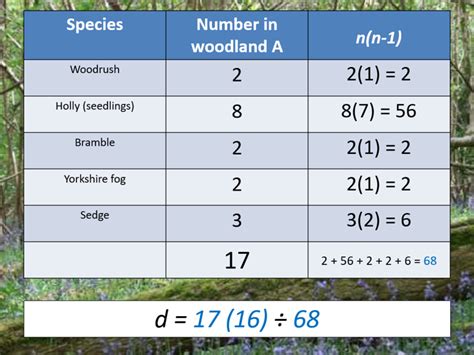 Biodiversity And Calculating An Index Of Diversity Aqa A Level Biology