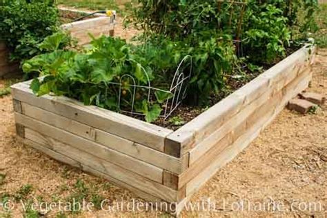 I called these 'cinder blocks' but they are actually concrete blocks. The inspiration: raised beds made out of 4x4 lumber ...