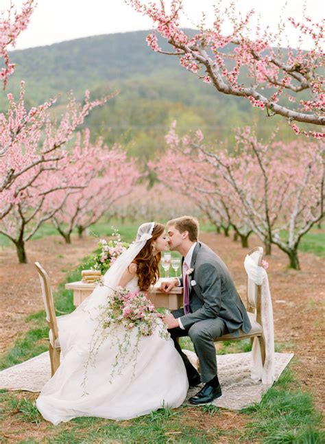 Cherry Blossom Orchard Wedding Inspiration Elizabeth Anne Designs