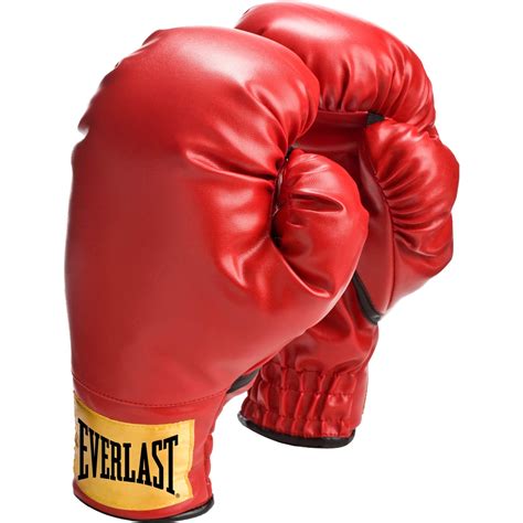 Everlast Youth Boxing Gloves Red Boxing And Mma Sports And Outdoors