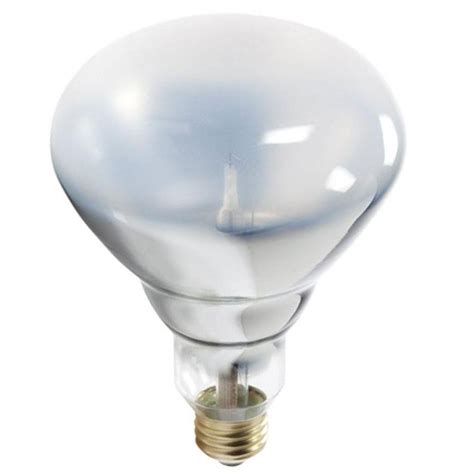 For cancelled orders, a 20% service fee may apply. Philips 120-Watt Halogen BR40 Flood Light Bulb-229971 - The Home Depot