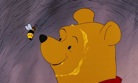 Image Winnie The Pooh Has Come Face To Face With The Honey Bee