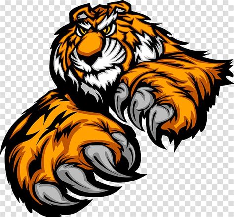 Bengal Tiger Drawing Claw Transparent Background Png Clipart Hiclipart