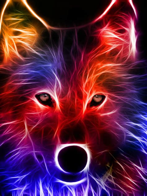 Free Download Cool Colorful Wolf Computer Backgrounds 1600x1200 For