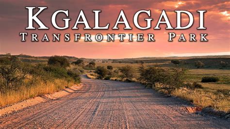 kgalagadi transfrontier national park experience rugged terrain and wildlife in africa youtube